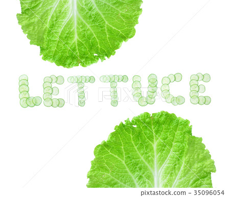Fresh Lettuce / one leaf isolated on white 35096054