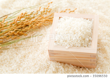 Rice 35096550