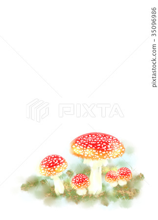 Fly agaric 2 35096986
