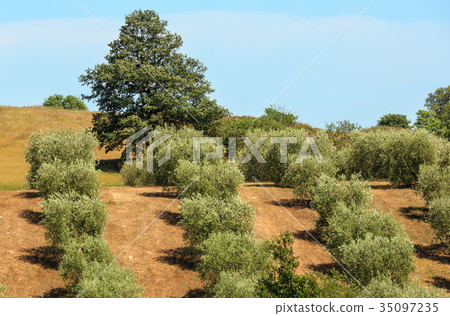 Summer countryside, Italy Summer countryside, Italy 35097235
