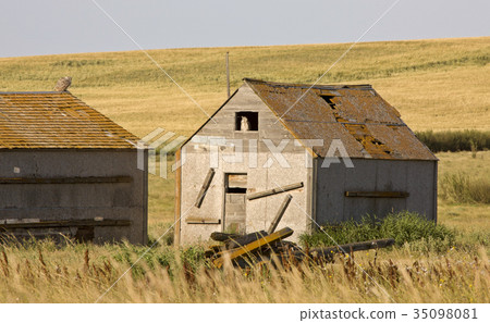 Prairie Barn Saskatchewan Prairie Barn Saskatchewan 35098081