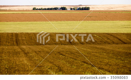 Prairie Scene Saskatchewan Prairie Scene Saskatchewan 35098083