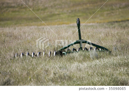 Prairie Scene Saskatchewan Prairie Scene Saskatchewan 35098085