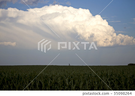 Storm Clouds Canada 35098264