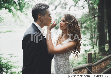 Romantic, fairytale, happy newlywed couple hugging Romantic, fairytale, happy newlywed couple hugging 35099127