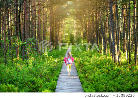 Cute little girl following wooden path through dense forest on beautiful summer evening. Cute little girl following wooden path through dense forest on beautiful summer evening. 35099226