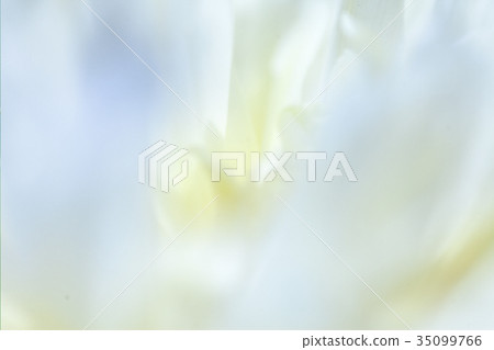 Pastel Floral Background With Happy Birthday 35099766