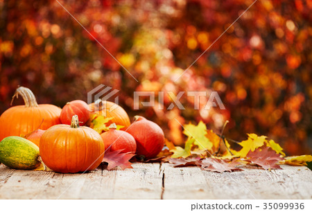 pumpkins on a table with autumn leaves pumpkins on a table with autumn leaves 35099936