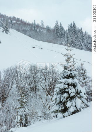 Winter Carpathian Mountains landscape. 35100303