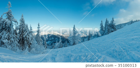 Winter Carpathian Mountains panorama. 35100313