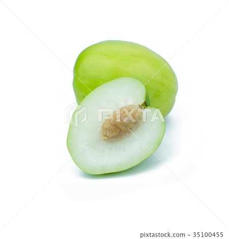 Jujube, Indian jujube, Chinese jujube isolated Jujube, Indian jujube, Chinese jujube isolated 35100455