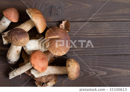 Cep mushrooms. Boletus oak leaves and acorn Cep mushrooms. Boletus oak leaves and acorn 35100613