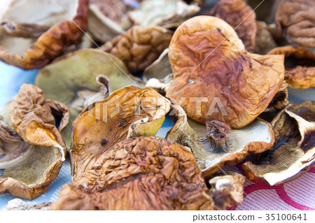 A lot of dried edible mushrooms porcini and aspen 35100641