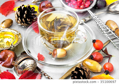 cup of warming autumn tea cup of warming autumn tea 35100697
