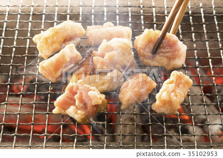 Grilled hormone 35102953