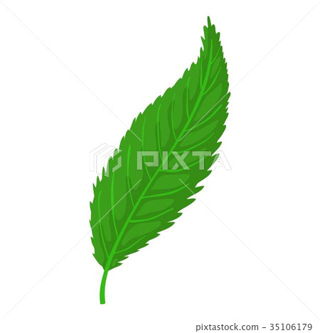 Leaf icon, cartoon style Leaf icon, cartoon style 35106179