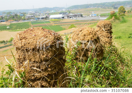 Inomata百光(埼玉kotama槍Misato cho Inomata) Inomata百光(埼玉kotama槍Misato cho Inomata) 35107086