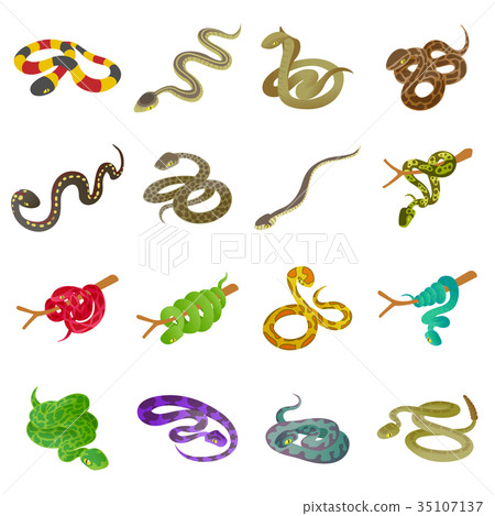 Snake icons set, isometric style 35107137