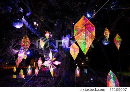 Gem illumination of Enoshima Shonan Gem illumination of Enoshima Shonan 35109007