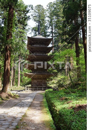 National treasure Haguroyama five-storied pagoda National treasure Haguroyama five-storied pagoda 35109075