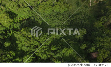 Shiretoko no Mori (Shiretoko no Mori) (Shari-cho, Shari-gun, Hokkaido) shot from the sky with a drone 35109572