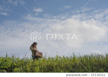 Girl with a whistle 35110322