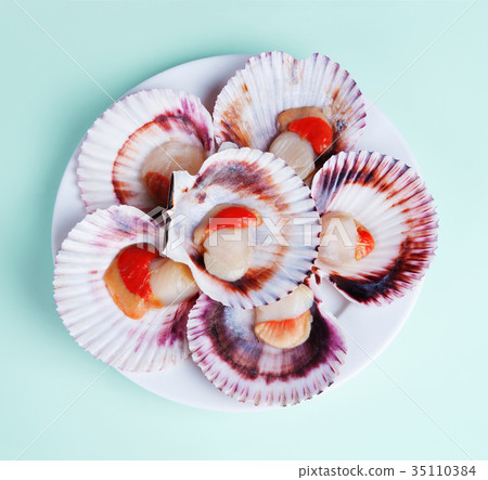 half a dozen fresh opened scallop shell half a dozen fresh opened scallop shell 35110384