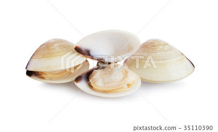 Fresh opened and closed clams 35110390