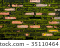 Wall brick with green fungus. 35110464