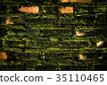 Wall brick with green fungus. 35110465