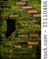 Wall brick with green fungus. 35110466