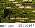 Wall brick with green fungus. 35110467
