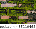 Wall brick with green fungus. 35110468