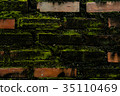 Wall brick with green fungus. 35110469