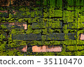 Wall brick with green fungus. 35110470