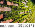 Wall brick with green fungus. 35110471