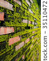 Wall brick with green fungus. 35110472