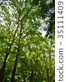 Look up to the sky in Ashinomori 35111409