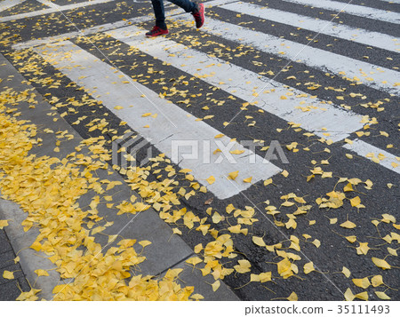 crosswalk  35111493