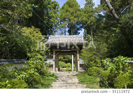 龍潭寺 35111972