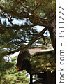 Pine and rattan roof 35112221