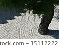 Pine and sand ripples 35112222