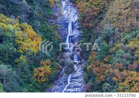 Autumn waterfall Autumn waterfall 35113700