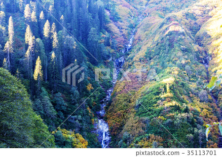 Autumn waterfall Autumn waterfall 35113701