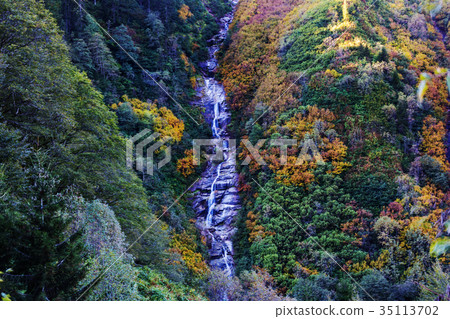 Autumn waterfall Autumn waterfall 35113702