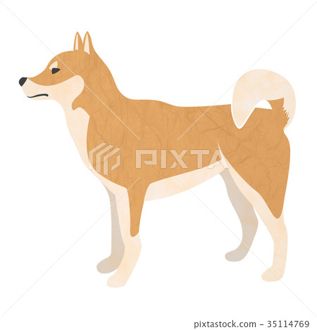Shiba Inu材料為新年卡片 35114769