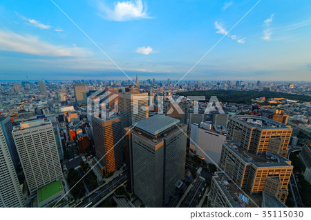 Cityscape of Shinjuku Subcenter Cityscape of Shinjuku Subcenter 35115030
