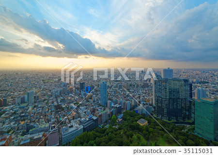 在新宿中央公園附近的都市風景和日落 在新宿中央公園附近的都市風景和日落 35115031