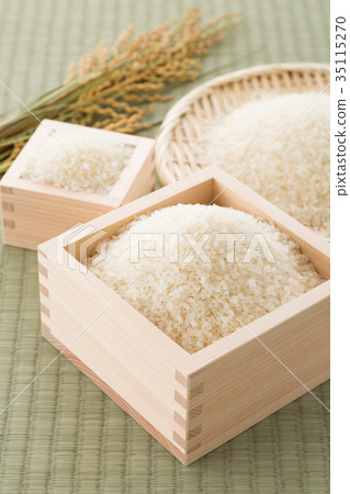 Rice 35115270