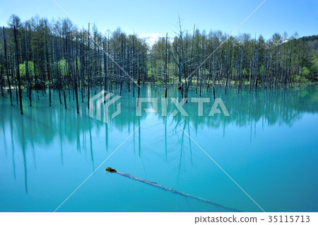 Biei Aoike Biei Aoike 35115713